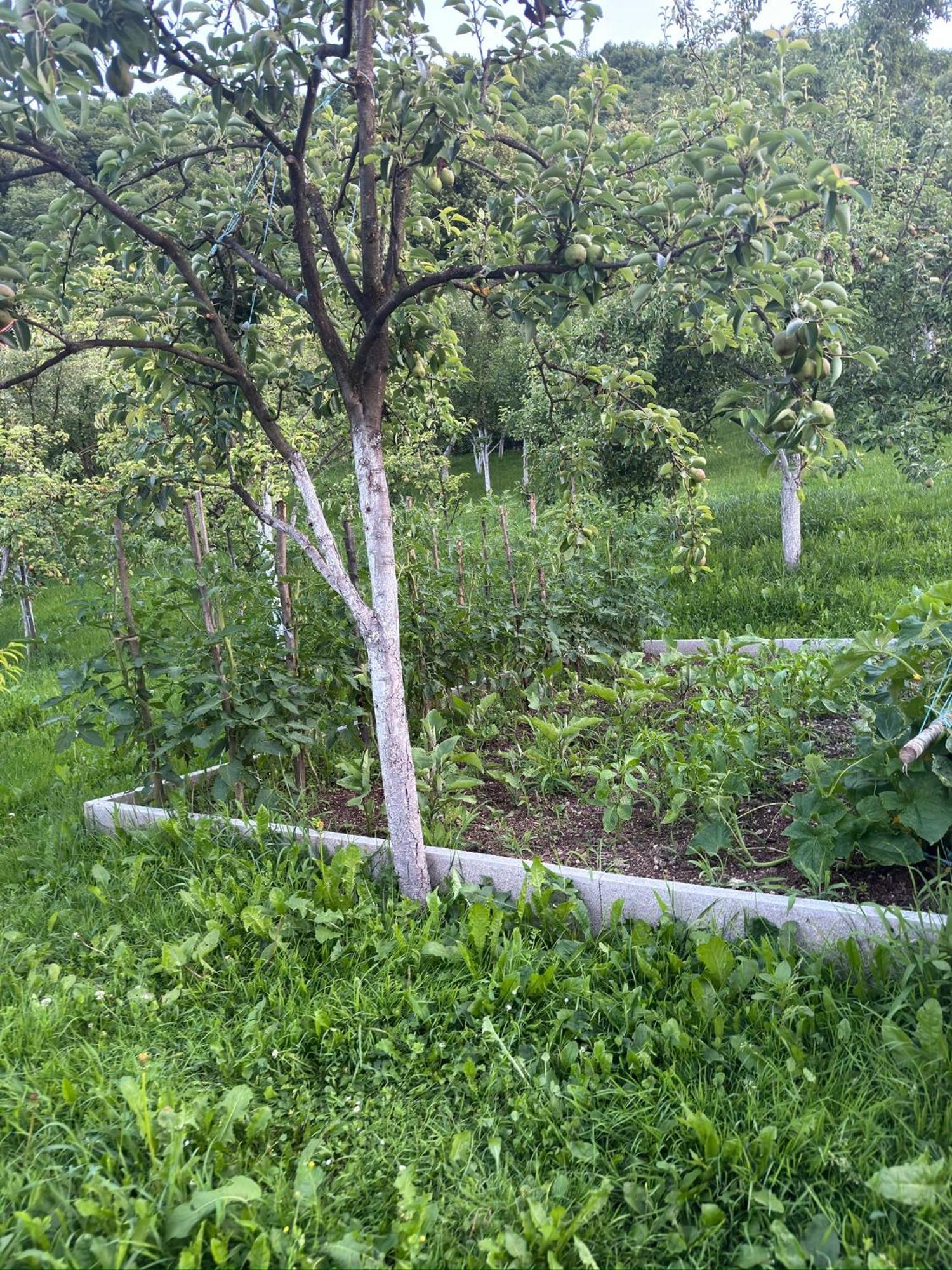Resting House Oaza Villa Bihac Luaran gambar